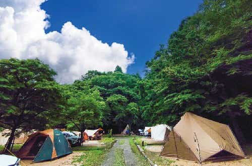 温泉併設。静かな里山でお花見・紅葉キャンプができる
