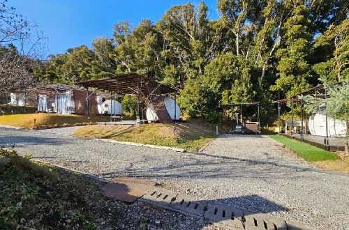 農業体験やマリンレジャーなどのアクティビティが豊富