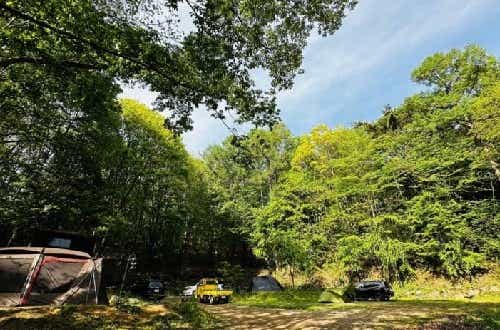 街から離れた静かな森のキャンプ場。設備も充実