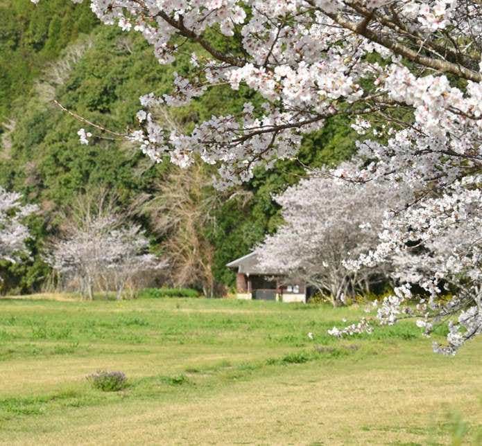 辻河原公園キャンプ場