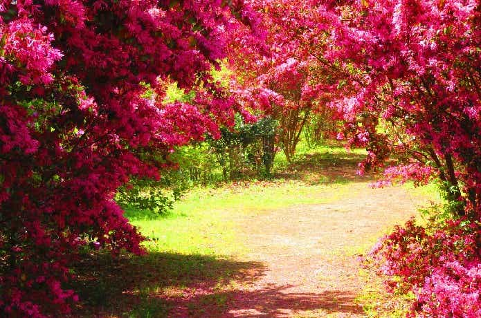 みろく自然公園キャンプ場