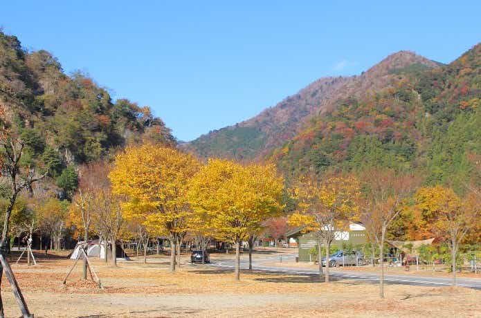 青川峡キャンピングパーク
