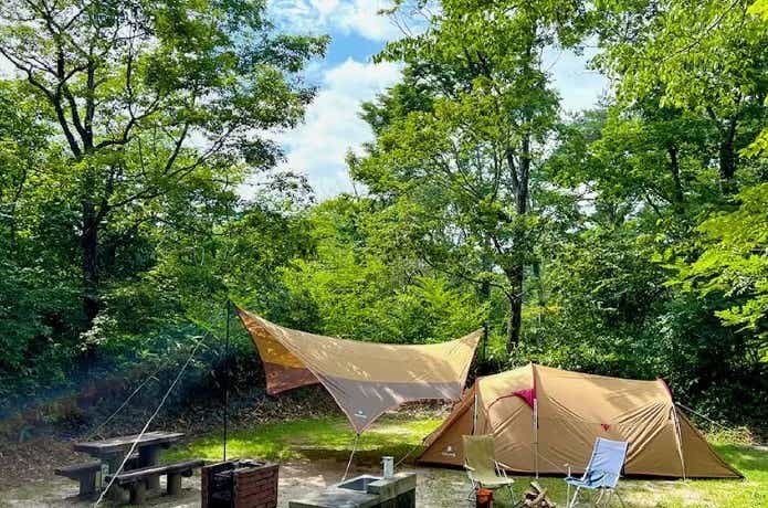 もみのき森林公園キャンプ場