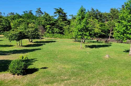 徒歩圏内に提携温泉・道の駅あり。レンタル品や物販も充実