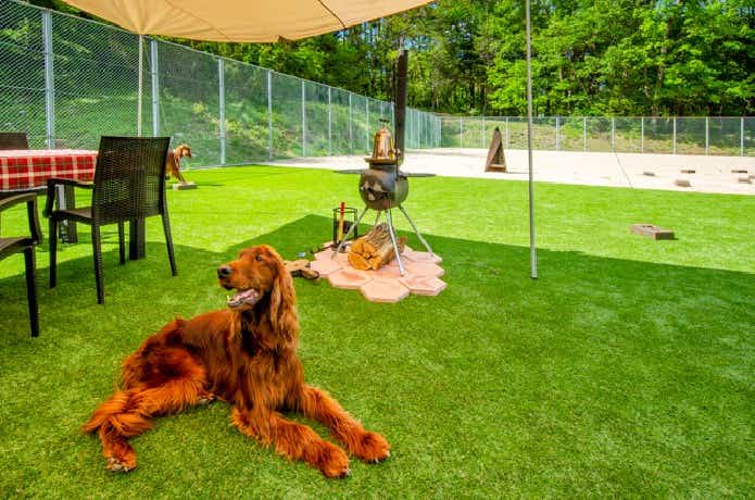 駒ヶ根Camping Resort by 駒ヶ根家族旅行村