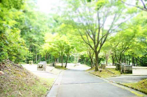 夏も涼しく過ごしやすい。各サイトにシング・かまど付き