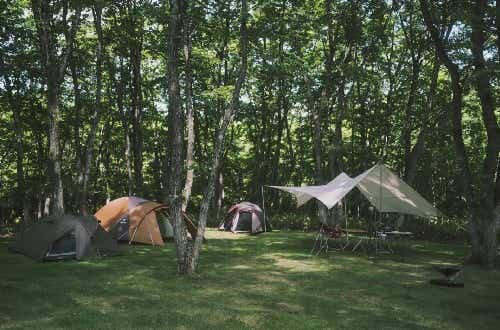 ワンちゃんと一緒に楽しめる施設が充実。温泉・レストランも併設