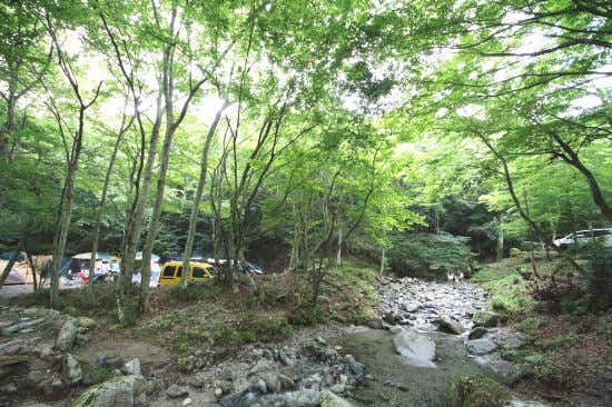 大人も子どもも楽しめるキャンプ場。清流と紅葉の融合が美しい