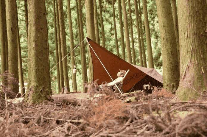 かぶとの森テラス