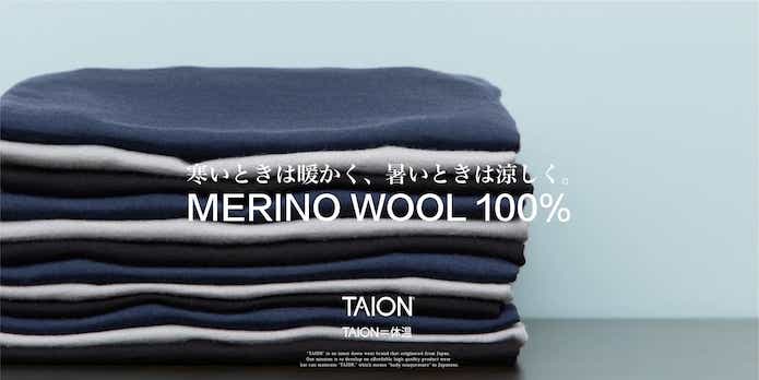 TAION タイオン　メリノウール 