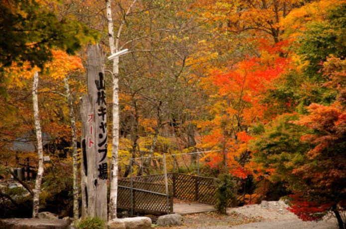 山伏オートキャンプ場の入り口と紅葉