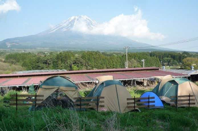 おいしいキャンプ場のサイト