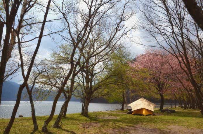 菖蒲ケ浜キャンプ村でキャンプ
