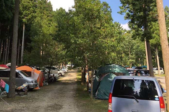 フォレスト・イン 洞川キャンプ場のサイト