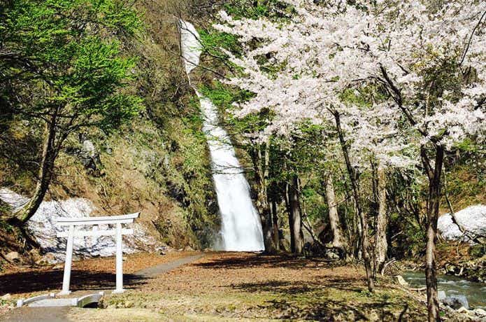 不動滝キャンプ場の滝