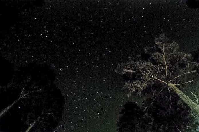 洞川キャンプ場