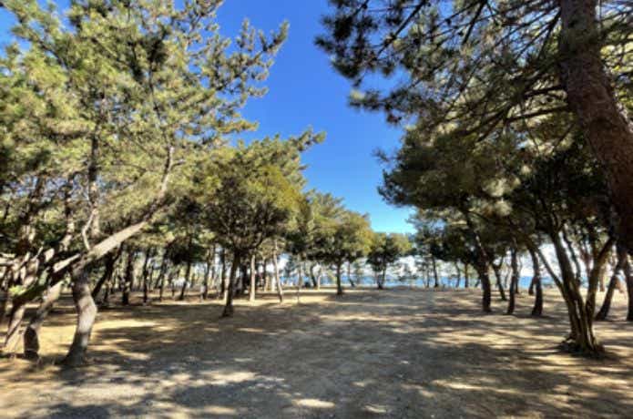 大洗サンビーチキャンプ場のサイト