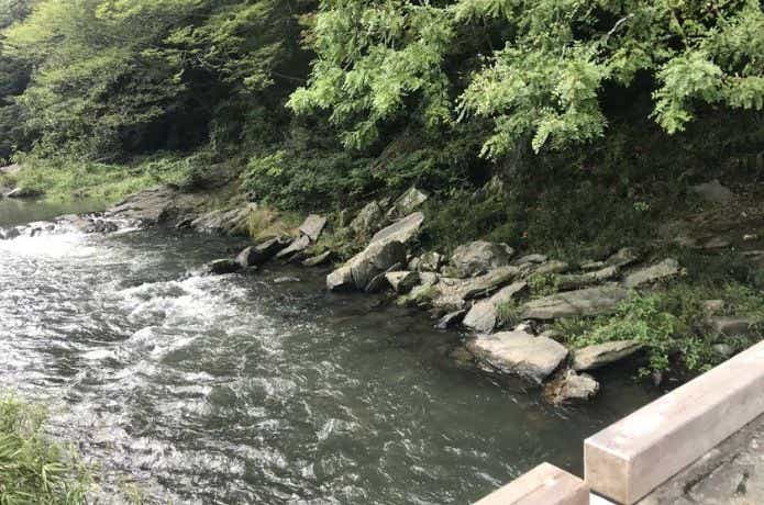 月川荘キャンプ場を流れる川