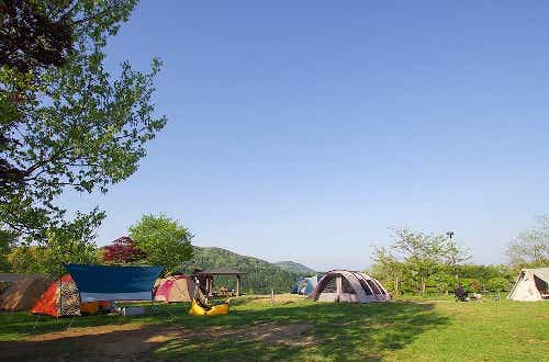芝生広場から見上げる星空が最高。筑波山の麓で自然がたっぷり