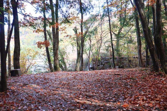 黒坂オートキャンプ場のサイト