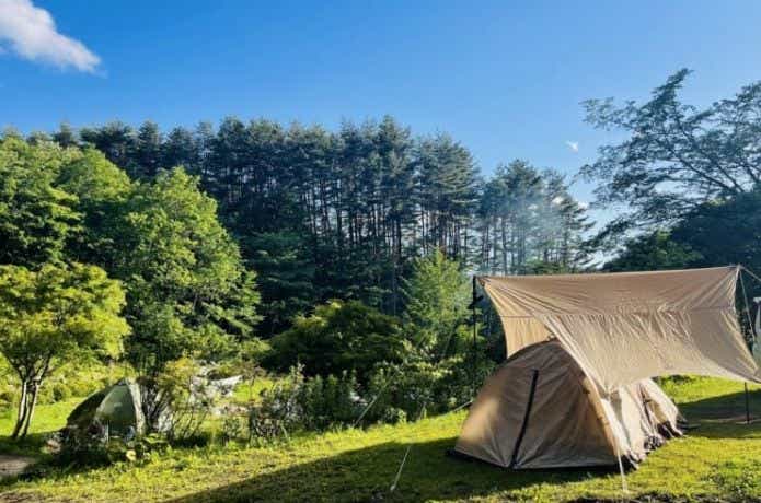 星の降る森のサイト