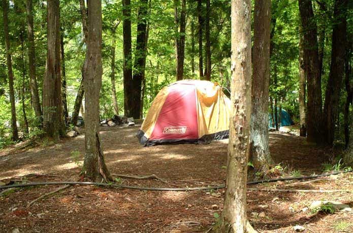 道志の森キャンプ場でキャンプ