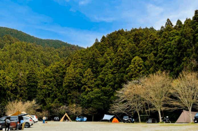 アットホームな雰囲気が魅力のキャンプ場。ソロキャンプにもぴったり