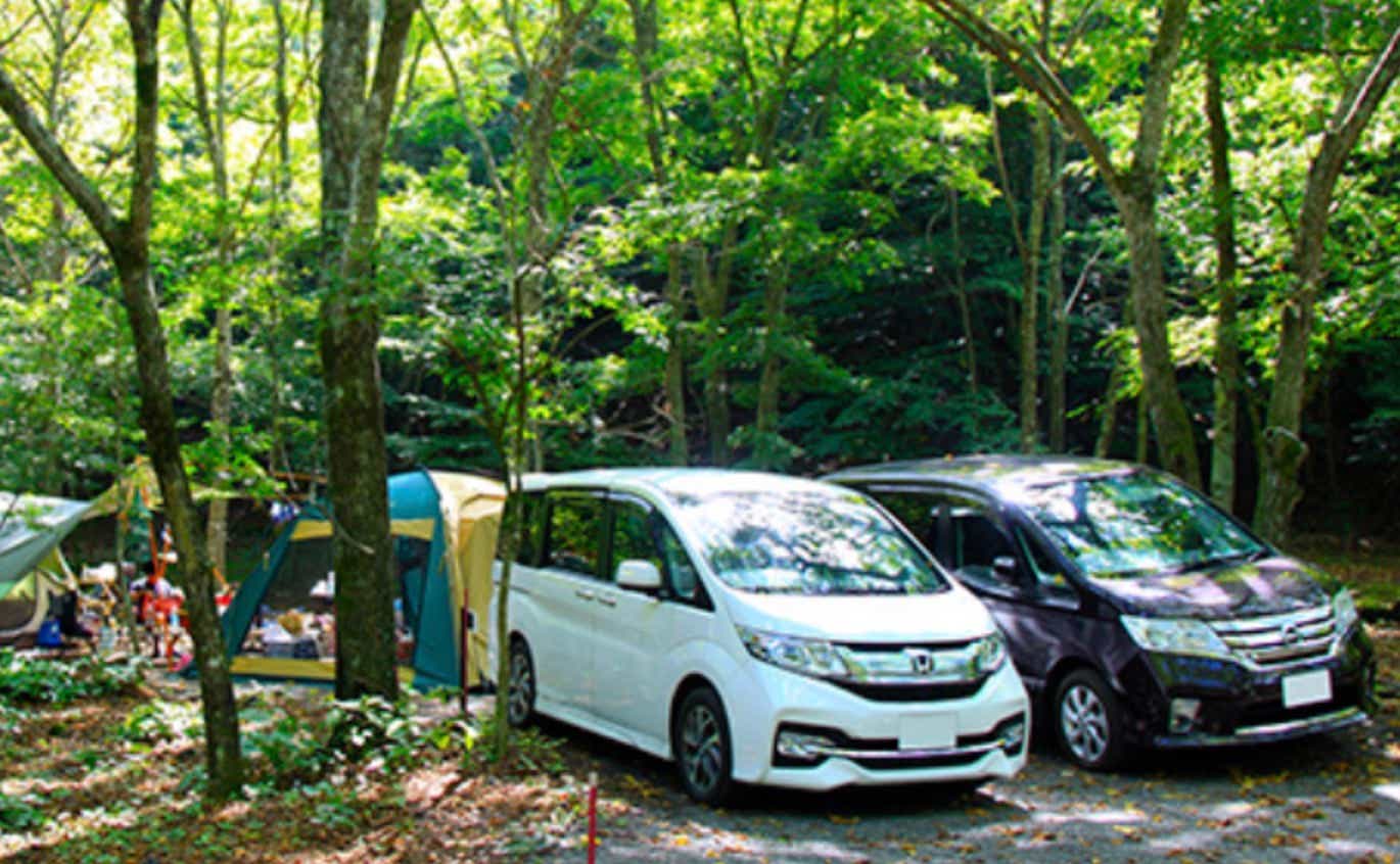 夏場も涼しいキャンプ場。豊かな自然に癒される
