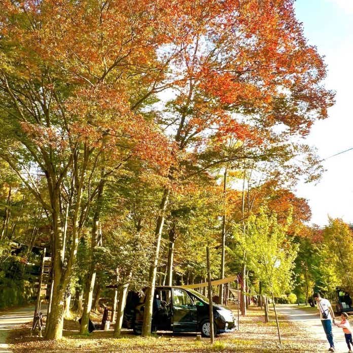 自然豊かな長瀞にあるキャンプ場。周辺観光も充実