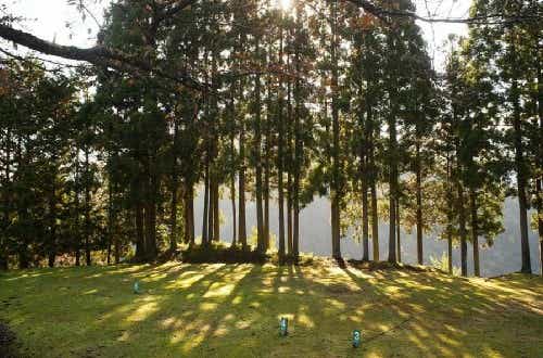 プライベート感のあるサイト。音楽禁止で静かな空間を楽しめる