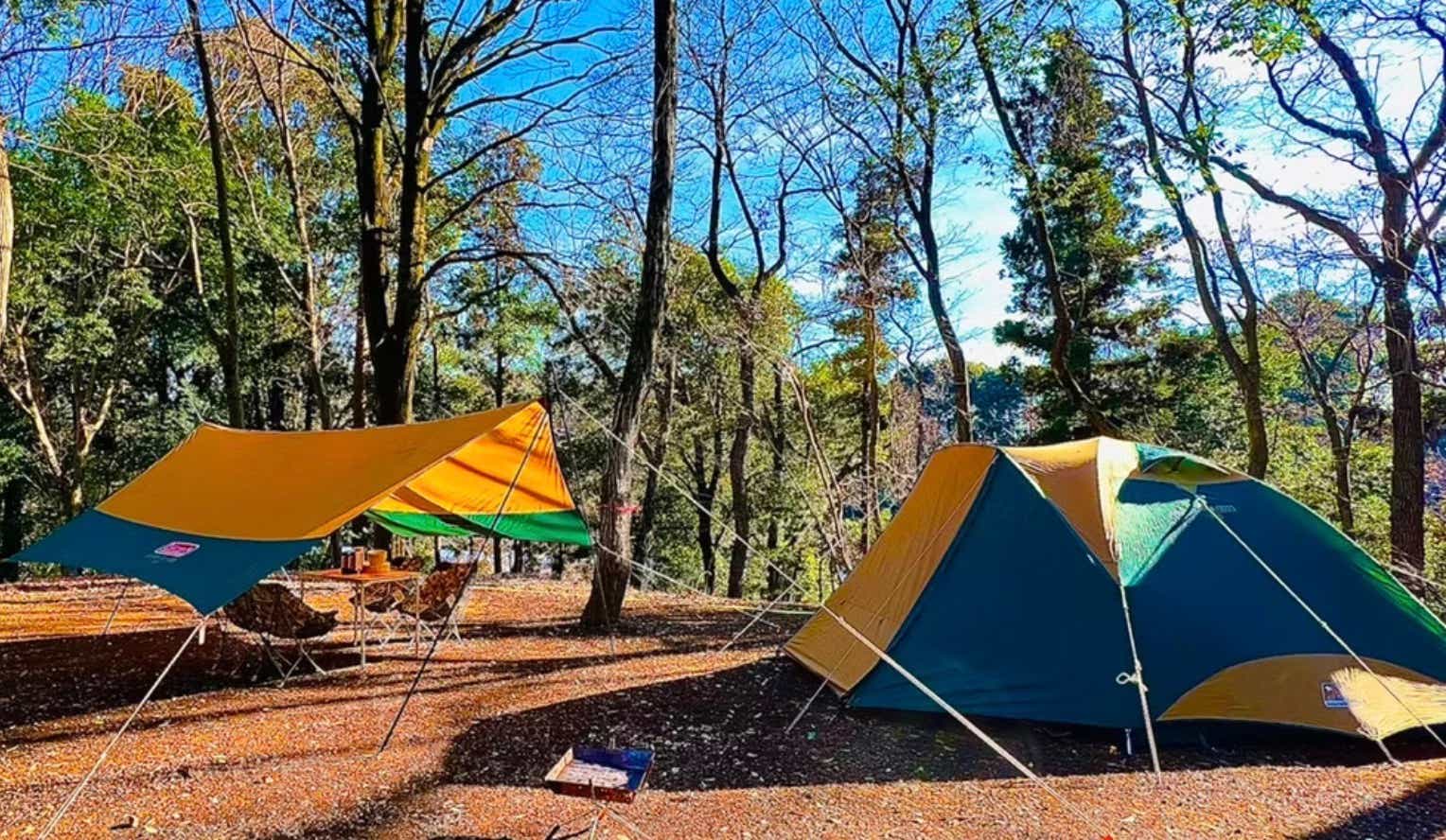 夏キャンプにもおすすめ。周辺施設も豊富