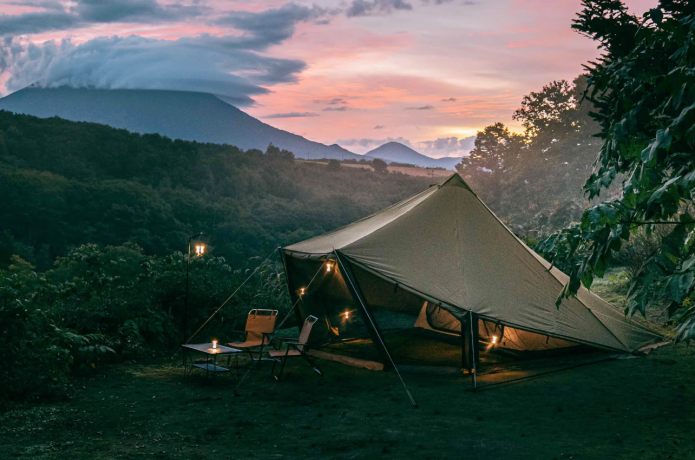 ゼインアーツ2025年新作　第3弾　ウータTC