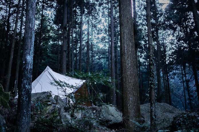 そぶらフォレストガーデン南