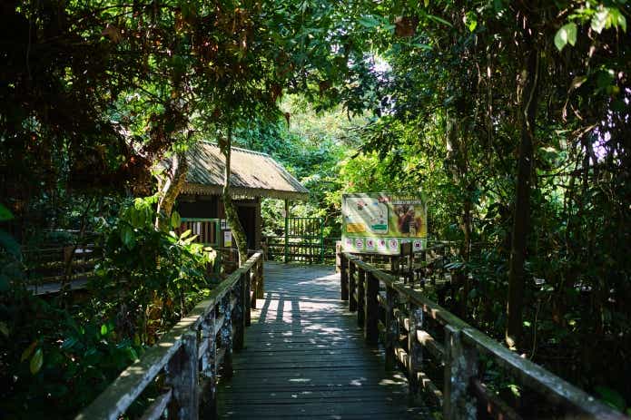 園内は木道を歩いて進んでいく