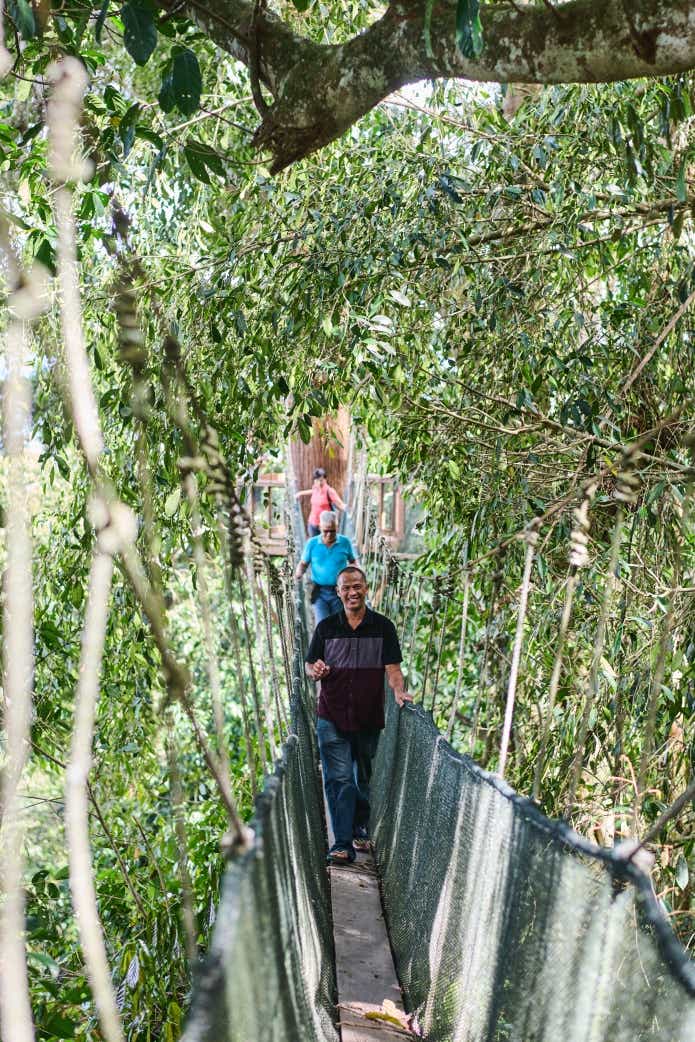 ポーリン温泉には迫力満点のキャノピーウォークもある