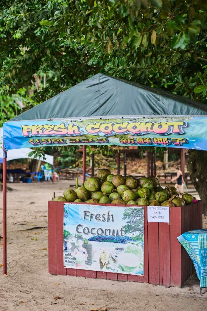 島には南国らしいココナッツが売っている