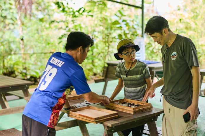 別料金で甲虫類の標本が作成できる