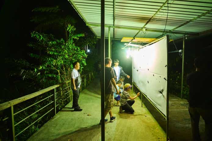 メインイベントのライトトラップ