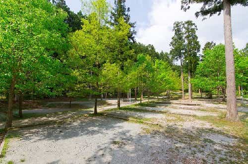 「不便を楽しもう」がコンセプト。ソロ専用サイトあり