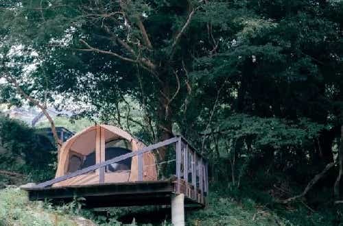 小屋型のバンガローに宿泊できる。おしゃれなラウンジやテラスあり