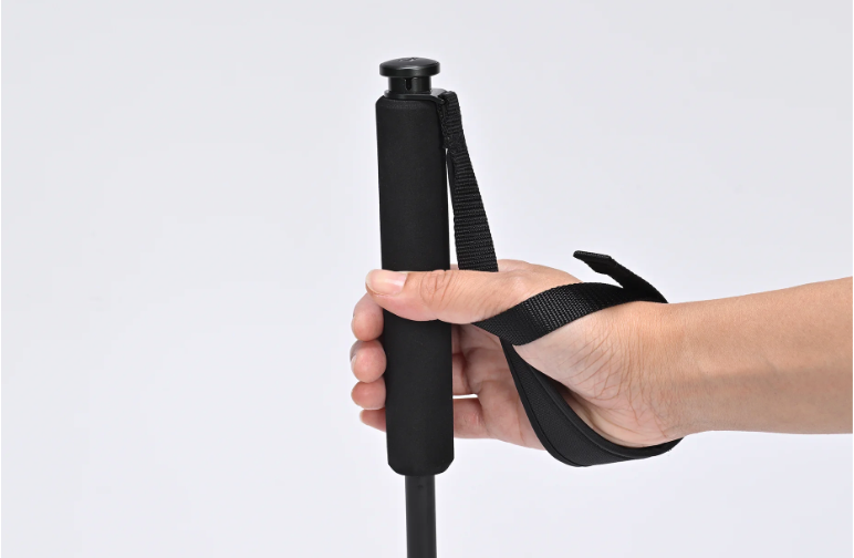 ゼインアーツ2025年新作　第3弾　