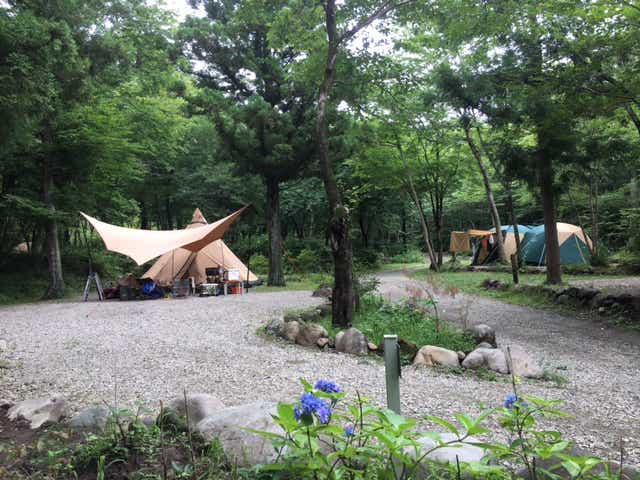 ゆったり過ごせるキャンプ場。子どももたくさん遊べる