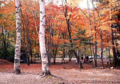 夏キャンプにぴったりの涼しいキャンプ場。四季折々の景観を楽しめる