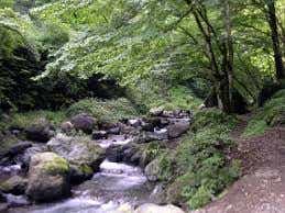 特別な体験ができる魅力的なキャンプ場。夏場も涼しく快適