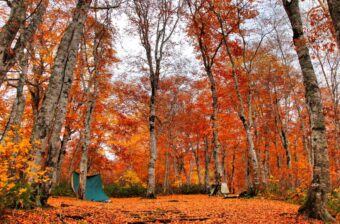 この秋行きたい！紅葉に包まれる関東近郊のおすすめキャンプ場15選