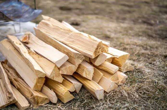 地面に置かれた薪