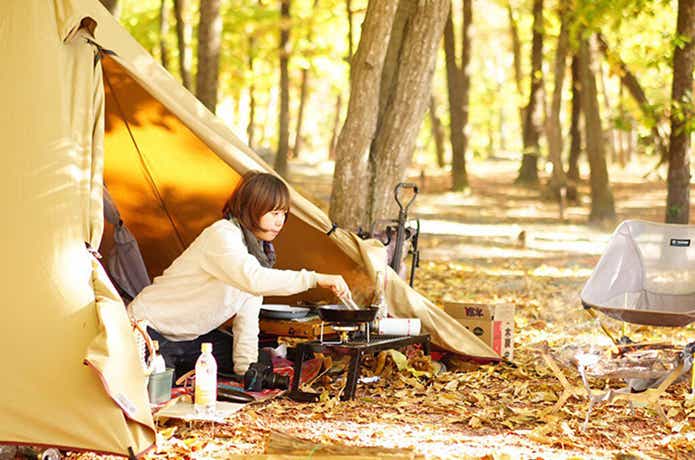 tent-mark/PANDATC-bright