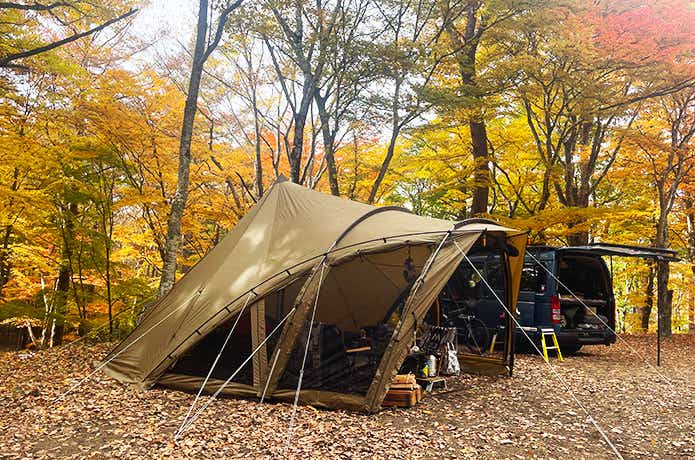 ゼインアーツ「ロロ」