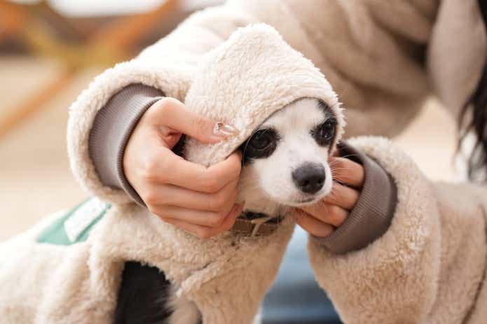 38explore　クリフメイヤー　ひっくりジャケット　DOGひっくりベスト