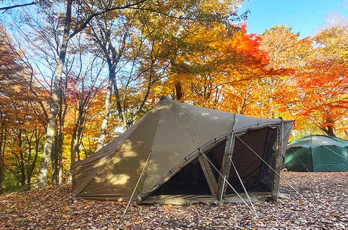 ゼインアーツ「ロロ」